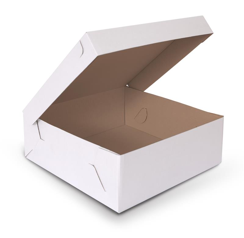 DORTOVÁ KRABICE 25 x 25 x 10 cm - Bílo - hnědá